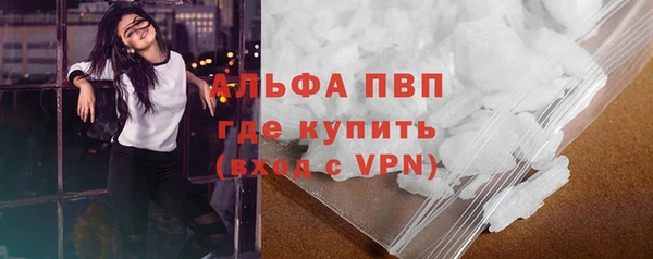 ешки Касимов