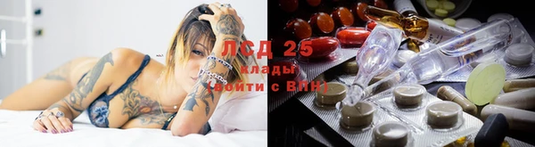 ешки Касимов