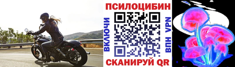 Купить  Гусиноозёрск  Галлюциногенные грибы Psilocybine cubensis 